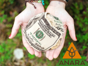 Support Anara Farmers, Inc